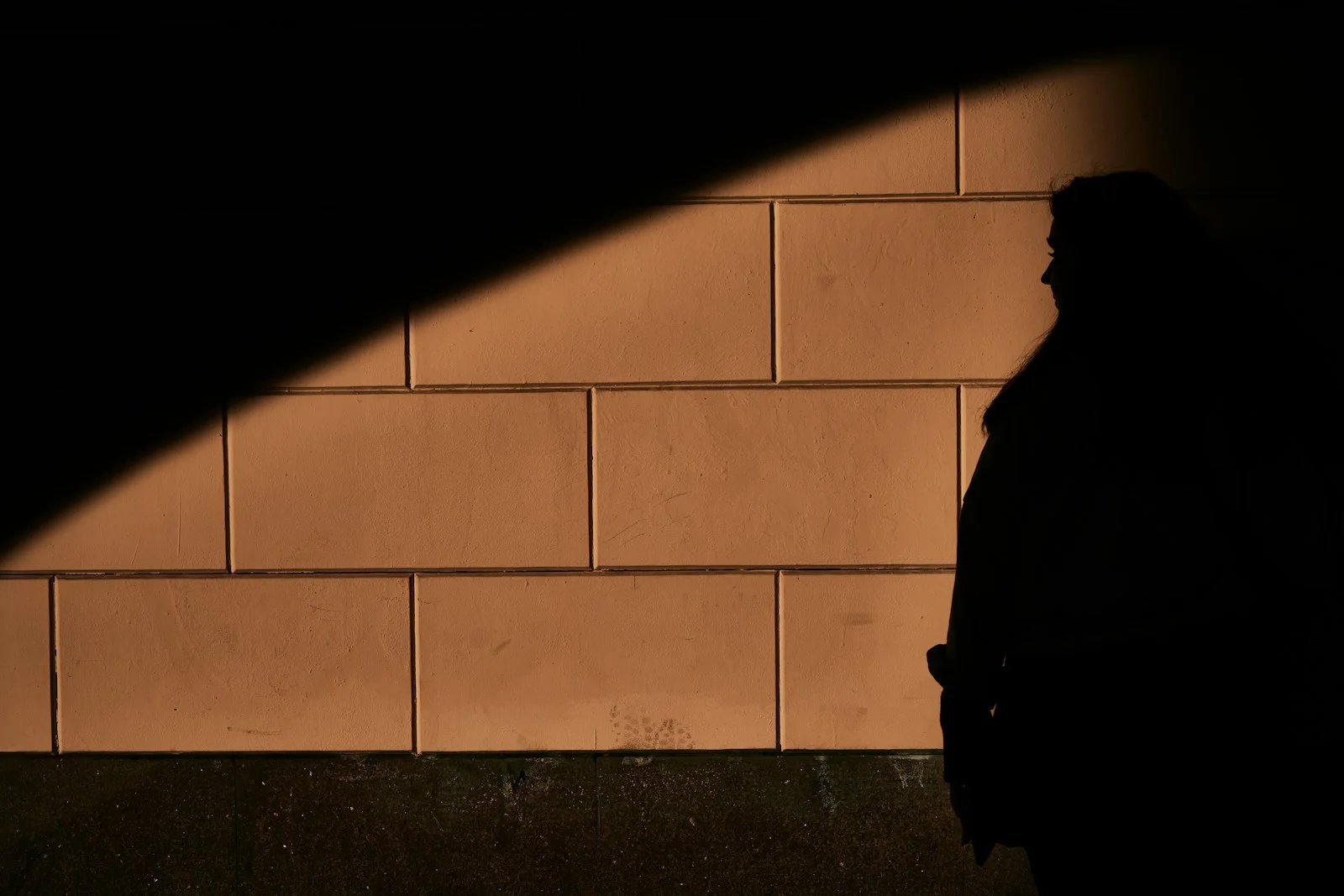 Shadow: the protagonist